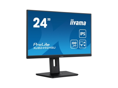 Монитор iiyama ProLite PL2492H XUB2492HSU-B6 24