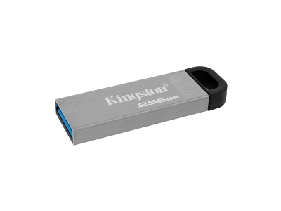 USB-накопитель Kingston DTKN/256GB 256GB Серебристый
