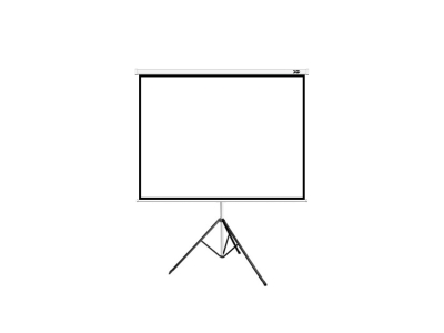 Экран на треноге XG DLS-T244x183W, Раб. поверхность 244х183 см.