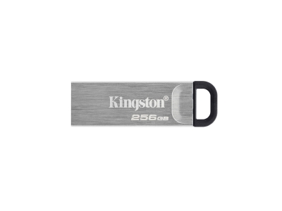 USB-накопитель Kingston DTKN/256GB 256GB Серебристый