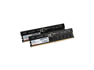 Комплект модулей памяти ADATA AD5U560032G-DT DDR5 64GB (Kit 2x32GB) 5600MHz