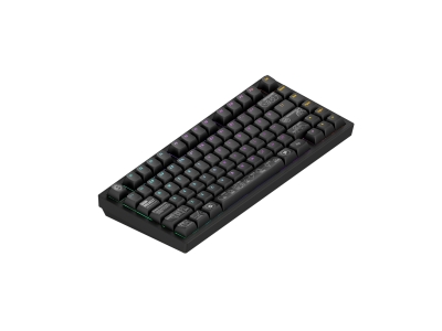 Клавиатура Dark Project ALU81A Terra Nova Black