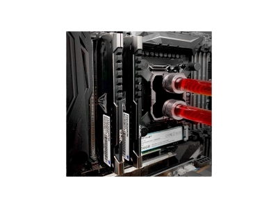 Модуль памяти Patriot PVS48G360C8 DDR4 8GB